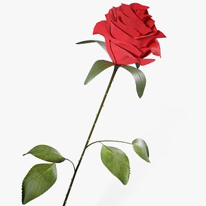 Rose PBR