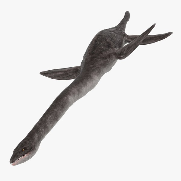 dinosaur plesiosauria swimming pose 3d model