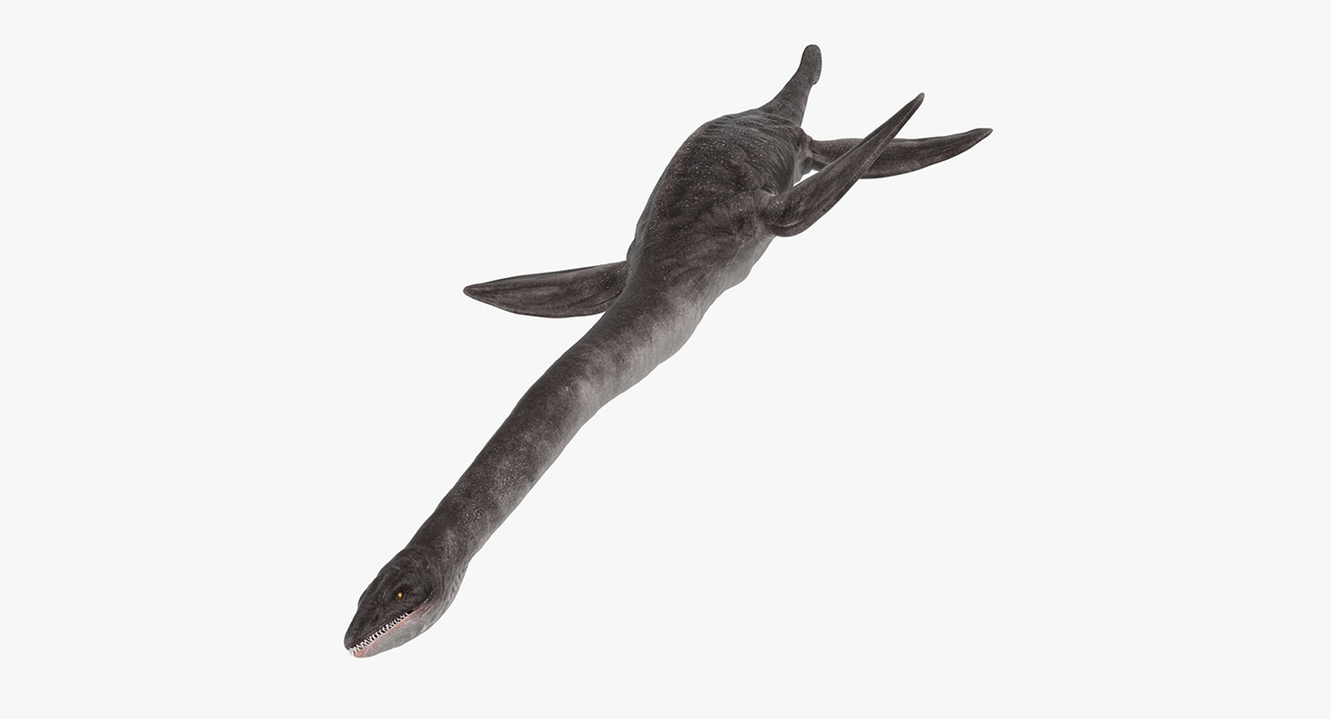 Dinosaur Plesiosauria Swimming Pose 3D Model 3D model preview