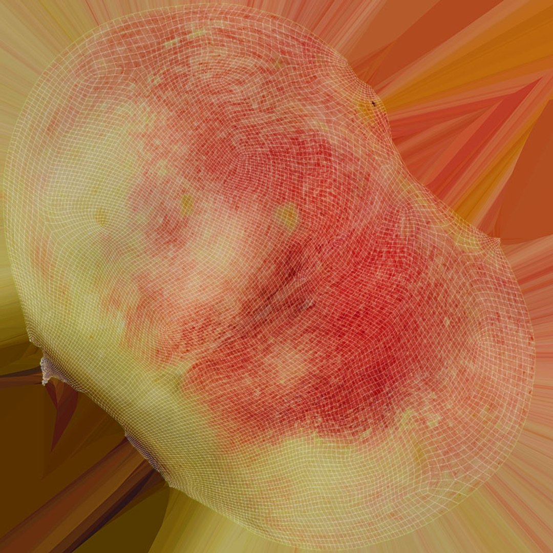 Peach Collection 3D model https://p.turbosquid.com/ts-thumb/2w/gvOYAK/oj/peach03_d0004/jpg/1724955996/1920x1080/fit_q87/07dea98e9c86444927d4cbb6e5ef7ec4bd67eefe/peach03_d0004.jpg