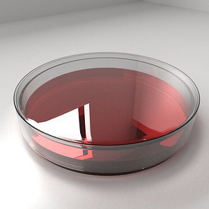 3D model glass petri dish agar