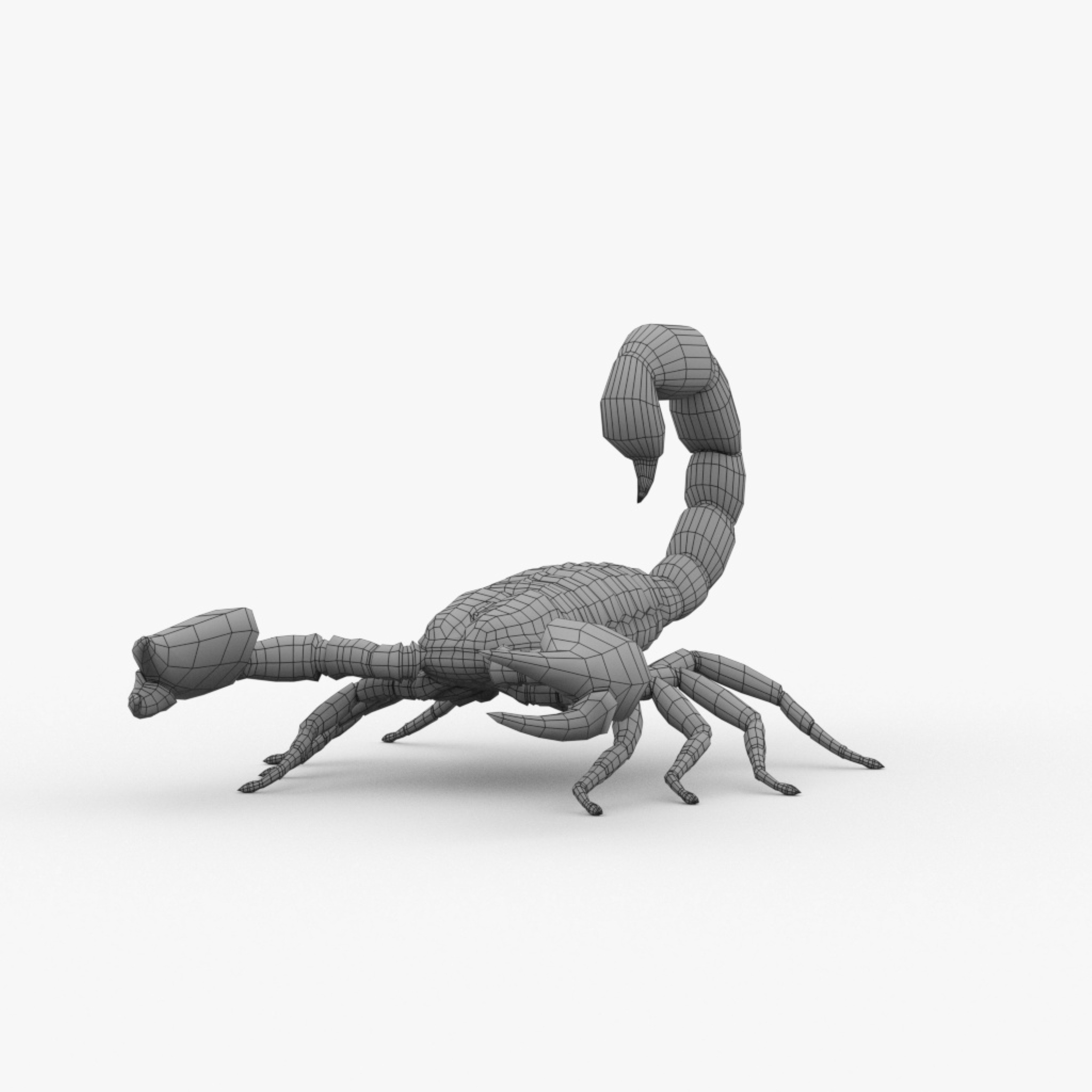 modelo 3d scorpion basemesh - TurboSquid 2007161