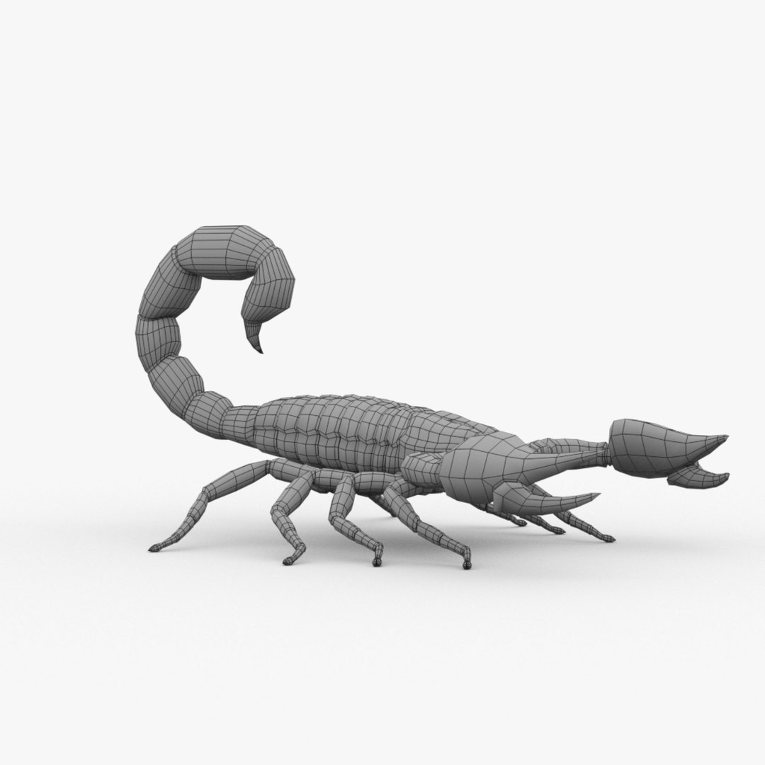 modelo 3d scorpion basemesh - TurboSquid 2007161