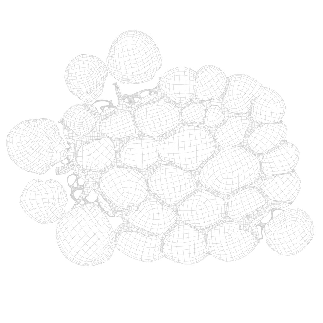 3D Fat Cell Model - TurboSquid 1814021
