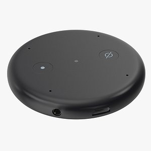 Amazon Echo Input