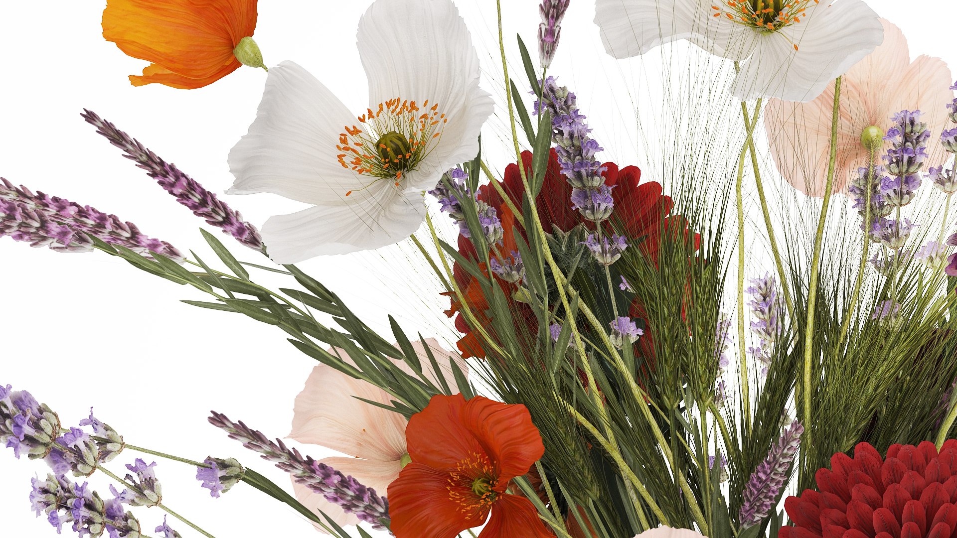 3D model Bouquet Of Wild Flowers In A Vase Lavender Poppy 486 https://p.turbosquid.com/ts-thumb/2x/1SZtwX/O9/1bouquetf290104/jpg/1738406333/1920x1080/fit_q87/c3e3c1969435424c363c5ac079071f9adc0cb5a6/1bouquetf290104.jpg