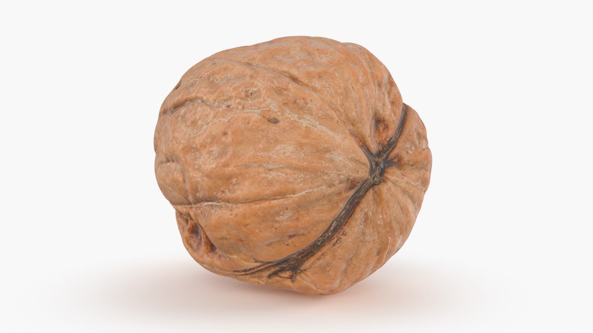 3D Walnut Shell 02 https://p.turbosquid.com/ts-thumb/2x/3POLsi/6q/walnut_shell_2_b0024/jpg/1665221844/1920x1080/fit_q87/915551d2f5893650a3bc9d7ffe886e94749279d0/walnut_shell_2_b0024.jpg