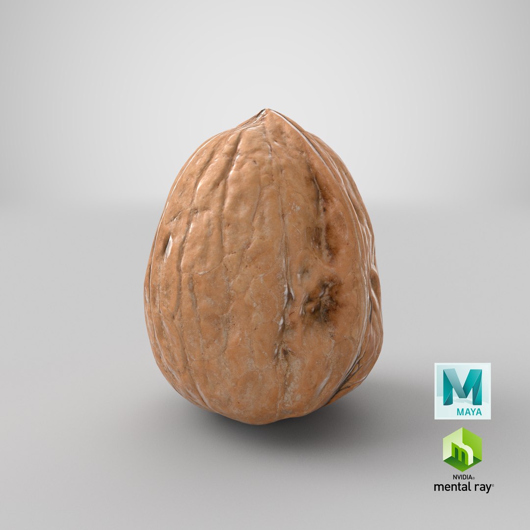 3D Walnut Shell 02 https://p.turbosquid.com/ts-thumb/2x/3POLsi/H8/stemcell_maya_mental_ray_render/png/1668752914/1920x1080/fit_q87/0a50a9950945251a31570c9809a2e68c140c991c/stemcell_maya_mental_ray_render.jpg