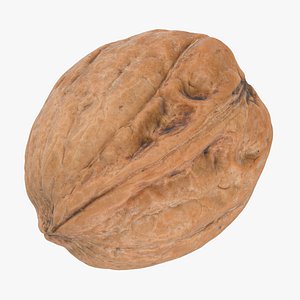 3D Walnut Shell 02