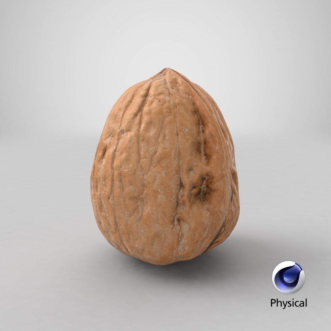 3D Walnut Shell 02 https://p.turbosquid.com/ts-thumb/2x/3POLsi/x9/stemcell_cinema_4d_physical_render/png/1668752899/1920x1080/fit_q87/d10d639bd42b64ae4701766380f0925d96b07001/stemcell_cinema_4d_physical_render.jpg