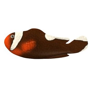 tropical fish 3d model