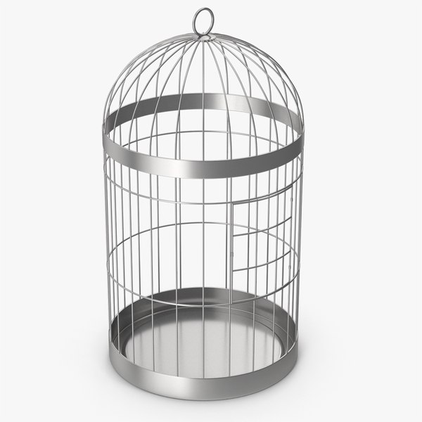 Bird Cage 3D model - TurboSquid 2132582