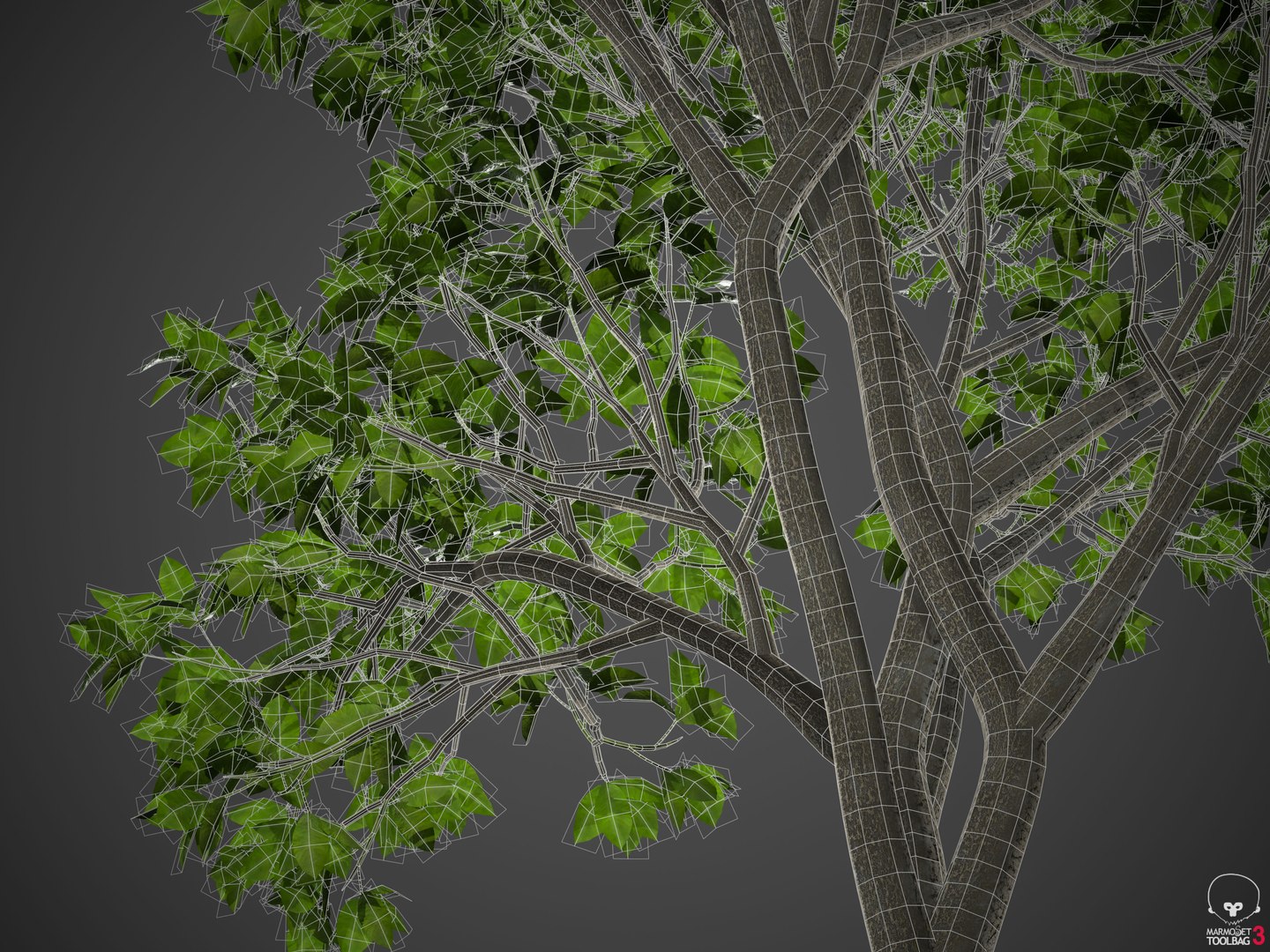 tree nature 3D model https://p.turbosquid.com/ts-thumb/2x/7B9Lho/ZS/wireframe3/jpg/1610756356/1920x1080/fit_q87/9f9272ede31a9479d1a7b99a1225f702d8c666d6/wireframe3.jpg
