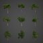 Collection Banyan PBR 2021 -Ficus Benghalensis