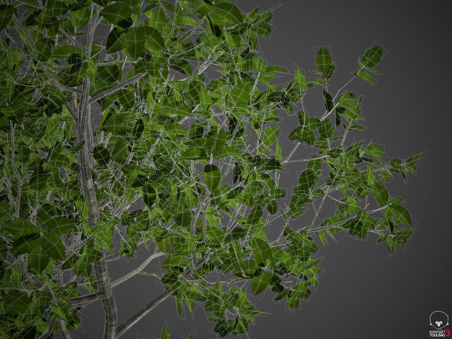 tree nature 3D model https://p.turbosquid.com/ts-thumb/2x/7B9Lho/gQ/wireframe2/jpg/1610756352/1920x1080/fit_q87/a06b021419e9a802986f772b585661442736321e/wireframe2.jpg