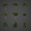 Collection Banyan PBR 2021 -Ficus Benghalensis