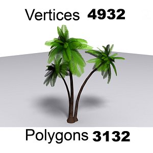 Palm Tree 3D