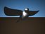 3d bird 11 species collections model