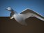 3d bird 11 species collections model