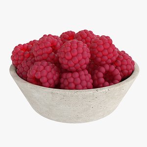 3D Raspberry small stone bowl