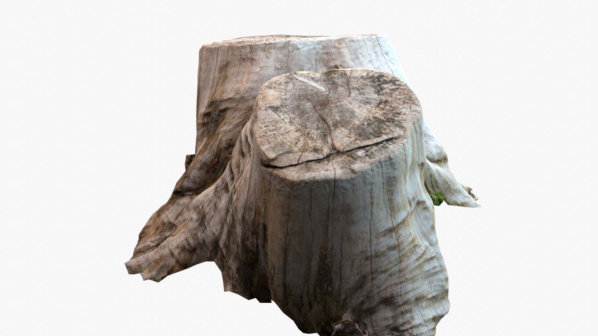 Double Tree Stump Model TurboSquid 1769382