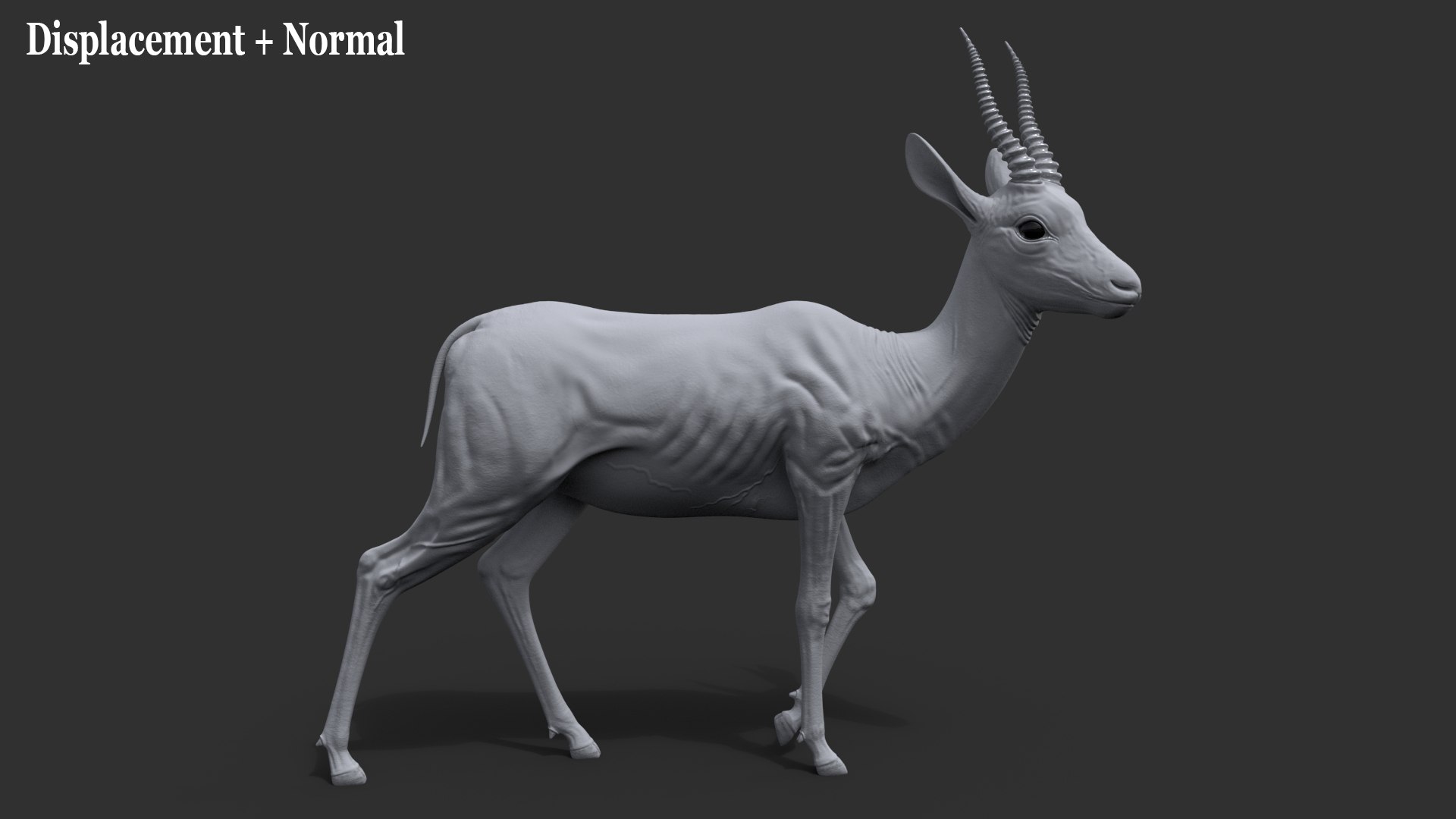 Gazelle 2 FUR 3D model https://p.turbosquid.com/ts-thumb/2x/gc3ae9/2Z/dispa/jpg/1766165578/1920x1080/fit_q87/493004b9eb596ee2c70eee3c254aa61a989de249/dispa.jpg