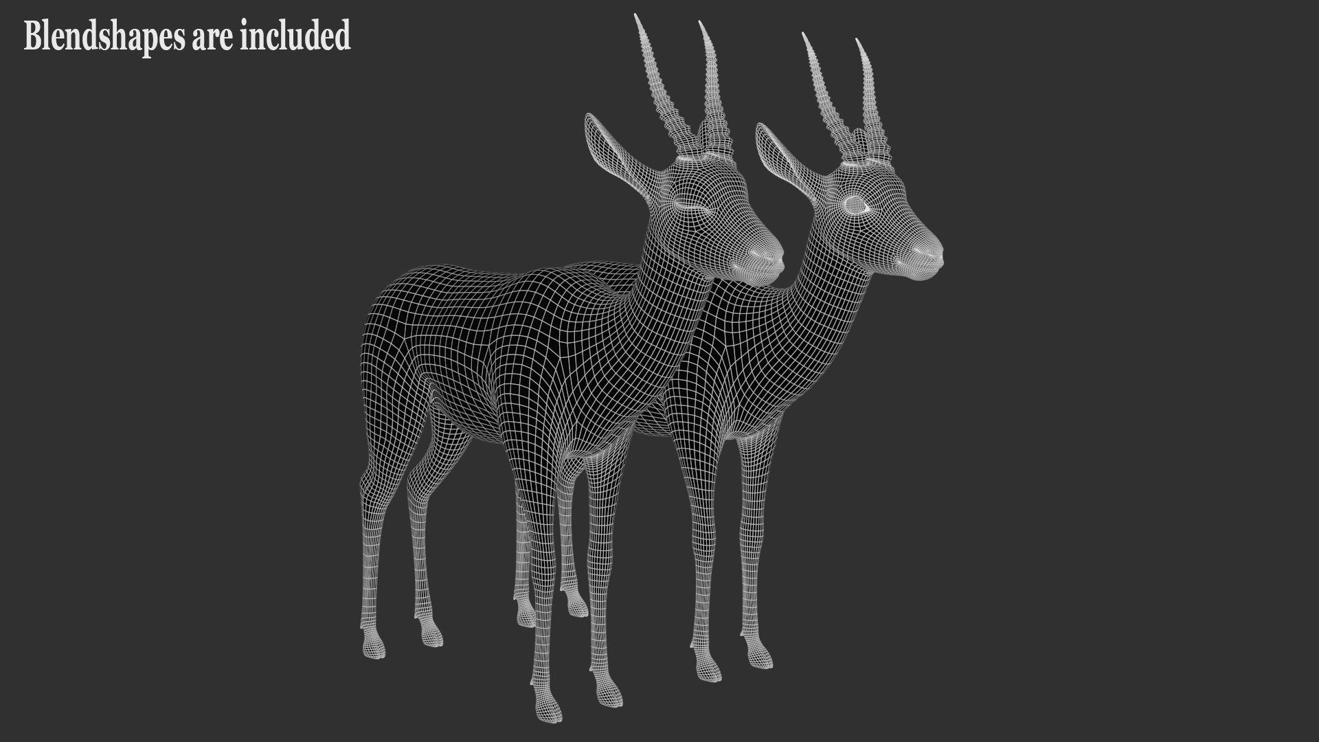 Gazelle 2 FUR 3D model https://p.turbosquid.com/ts-thumb/2x/gc3ae9/B4/bsa/jpg/1766165599/1920x1080/fit_q87/1b806b6a211d8663a0007d7bff6827e4aecb8d1e/bsa.jpg