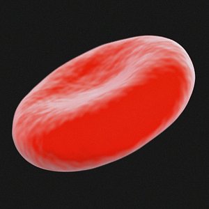 Red Blood Cell