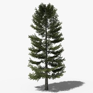 3D Lowpoly Pine v2