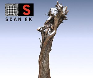 willow snow 3d max