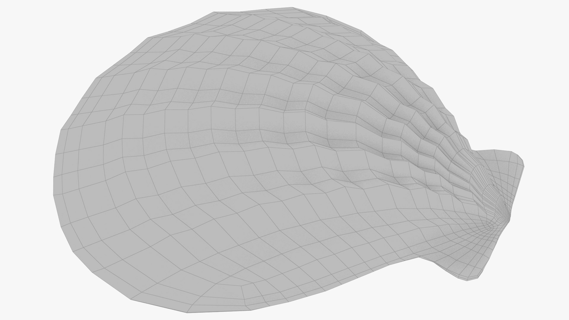 seashell real model https://p.turbosquid.com/ts-thumb/2y/2tyHC2/5hz4b0Yo/004_010copy/png/1600024714/1920x1080/fit_q87/5516b9b8b7265bbb0e6ae6d4b00de3ecbd14e182/004_010copy.jpg
