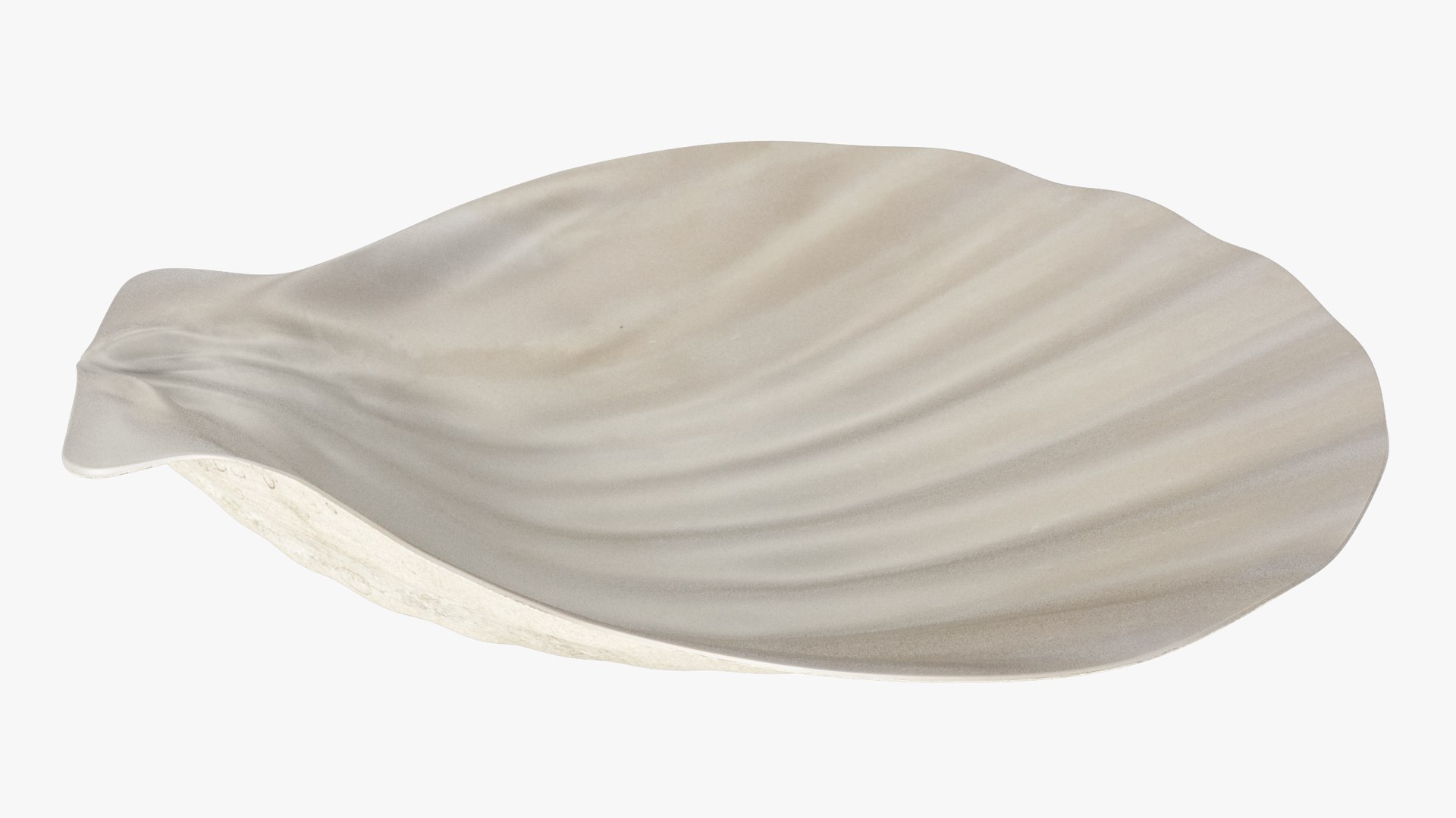 seashell real model https://p.turbosquid.com/ts-thumb/2y/2tyHC2/LbEI2ysO/004_008copy/png/1600024714/1920x1080/fit_q87/c06bc3cc6b1ca9d27c18babf211ebe5e3e43a2bb/004_008copy.jpg