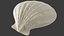 Seashell V2