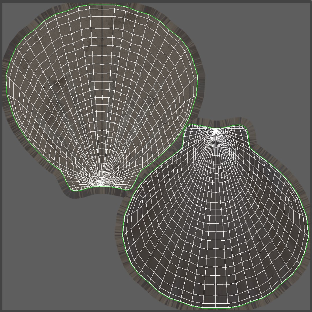 seashell real model https://p.turbosquid.com/ts-thumb/2y/2tyHC2/b4vcNokY/004_014/png/1600024714/1920x1080/fit_q87/adca170acf00290350a9a08bd166064b00dd82b6/004_014.jpg