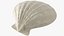 Seashell V2