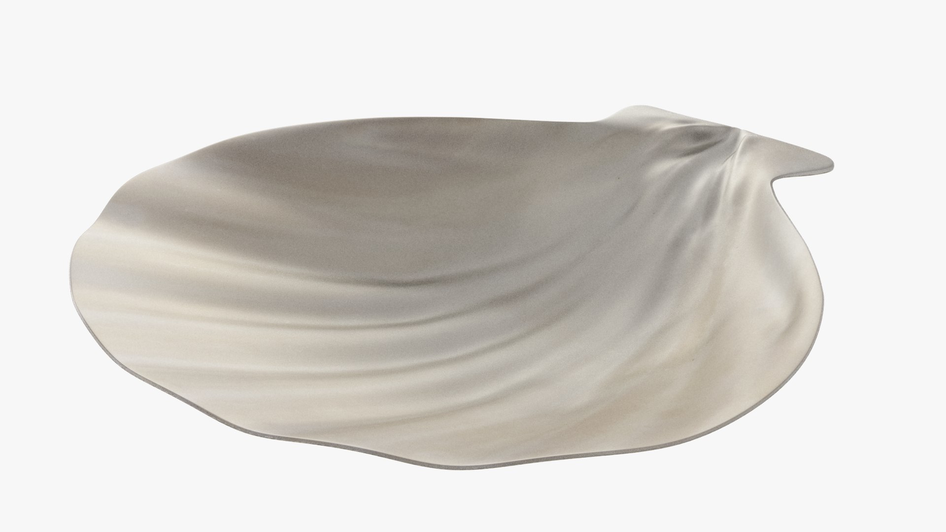 seashell real model https://p.turbosquid.com/ts-thumb/2y/2tyHC2/oWoHqk57/004_007copy/png/1600024714/1920x1080/fit_q87/a3607c74c8215b05f5efce3178b58055f3b2698f/004_007copy.jpg