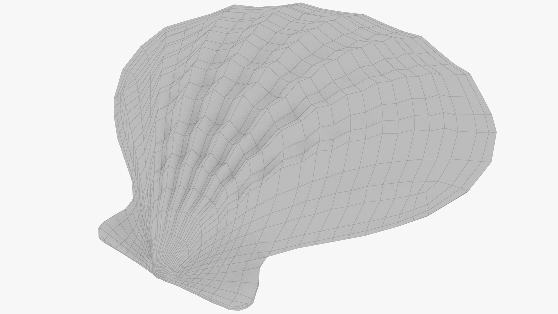 seashell real model https://p.turbosquid.com/ts-thumb/2y/2tyHC2/yMLGGEH7/004_009copy/png/1600024714/1920x1080/fit_q87/3a3c10f10479ae82979bc0986cb34ab92d37461d/004_009copy.jpg