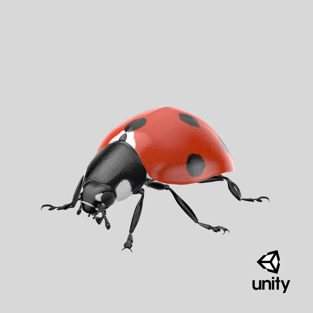 flying ladybug 3d model https://p.turbosquid.com/ts-thumb/2y/D0E9Rp/11/stemcell_unity_render/png/1657177331/1920x1080/fit_q87/629ccaf047aa89d492212a71a1f82d23a44e223c/stemcell_unity_render.jpg