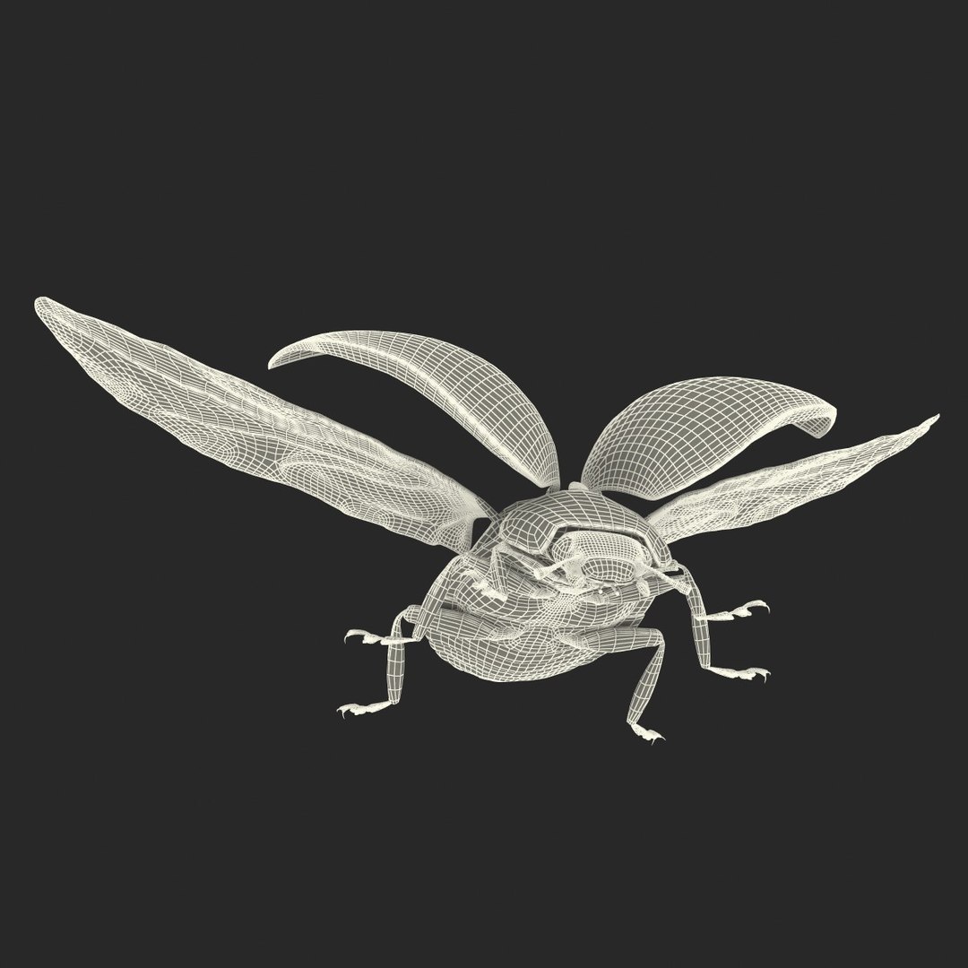 flying ladybug 3d model https://p.turbosquid.com/ts-thumb/2y/D0E9Rp/2cvwbHxb/flyingladybug3dmodel36/jpg/1462993065/1920x1080/fit_q87/273fc69dbc6f256451953f0939cbfaf54dbc18d1/flyingladybug3dmodel36.jpg