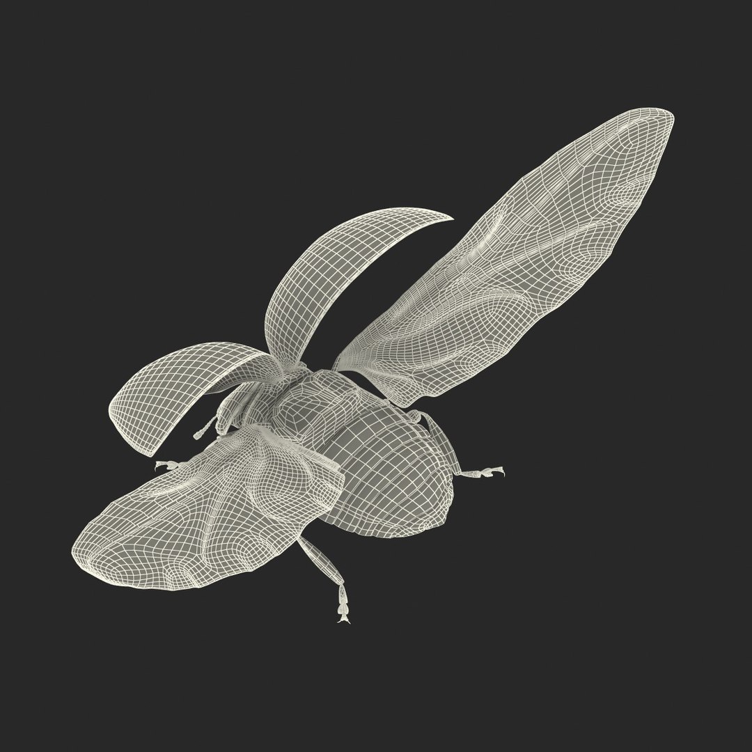 flying ladybug 3d model https://p.turbosquid.com/ts-thumb/2y/D0E9Rp/3M9vNcXh/flyingladybug3dmodel37/jpg/1462993065/1920x1080/fit_q87/cdc036ad14ba740260d6b144512dbb7e247c3d2a/flyingladybug3dmodel37.jpg