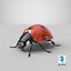 flying ladybug 3d model