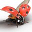 flying ladybug 3d model