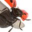 flying ladybug 3d model