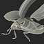 flying ladybug 3d model