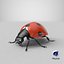 flying ladybug 3d model