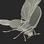 flying ladybug 3d model