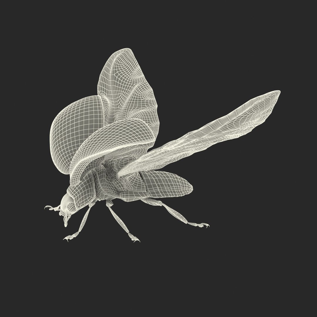flying ladybug 3d model https://p.turbosquid.com/ts-thumb/2y/D0E9Rp/E9t7Sq42/flyingladybug3dmodel34/jpg/1462993065/1920x1080/fit_q87/5921c08b2ec88e3be014dbaf4b9685ab5e8e6748/flyingladybug3dmodel34.jpg