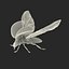 flying ladybug 3d model