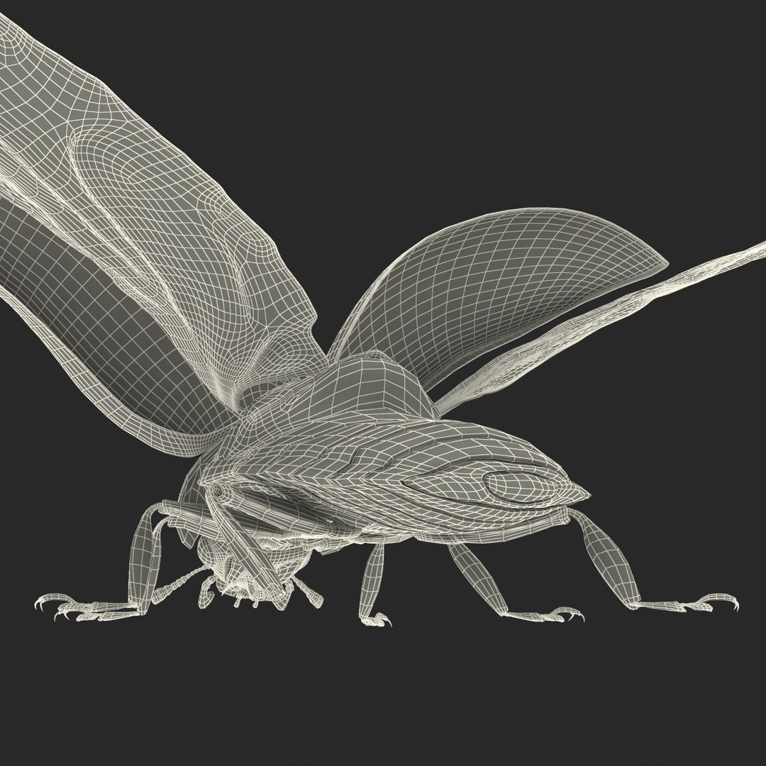 flying ladybug 3d model https://p.turbosquid.com/ts-thumb/2y/D0E9Rp/EXeSlBJP/flyingladybug3dmodel42/jpg/1462993065/1920x1080/fit_q87/8e0279a1564bbf4dfd482d7e587915f7986b329b/flyingladybug3dmodel42.jpg