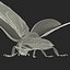 flying ladybug 3d model